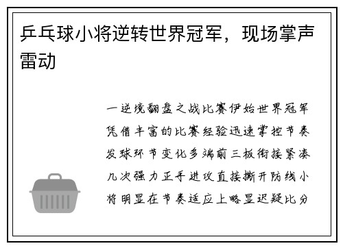 乒乓球小将逆转世界冠军，现场掌声雷动